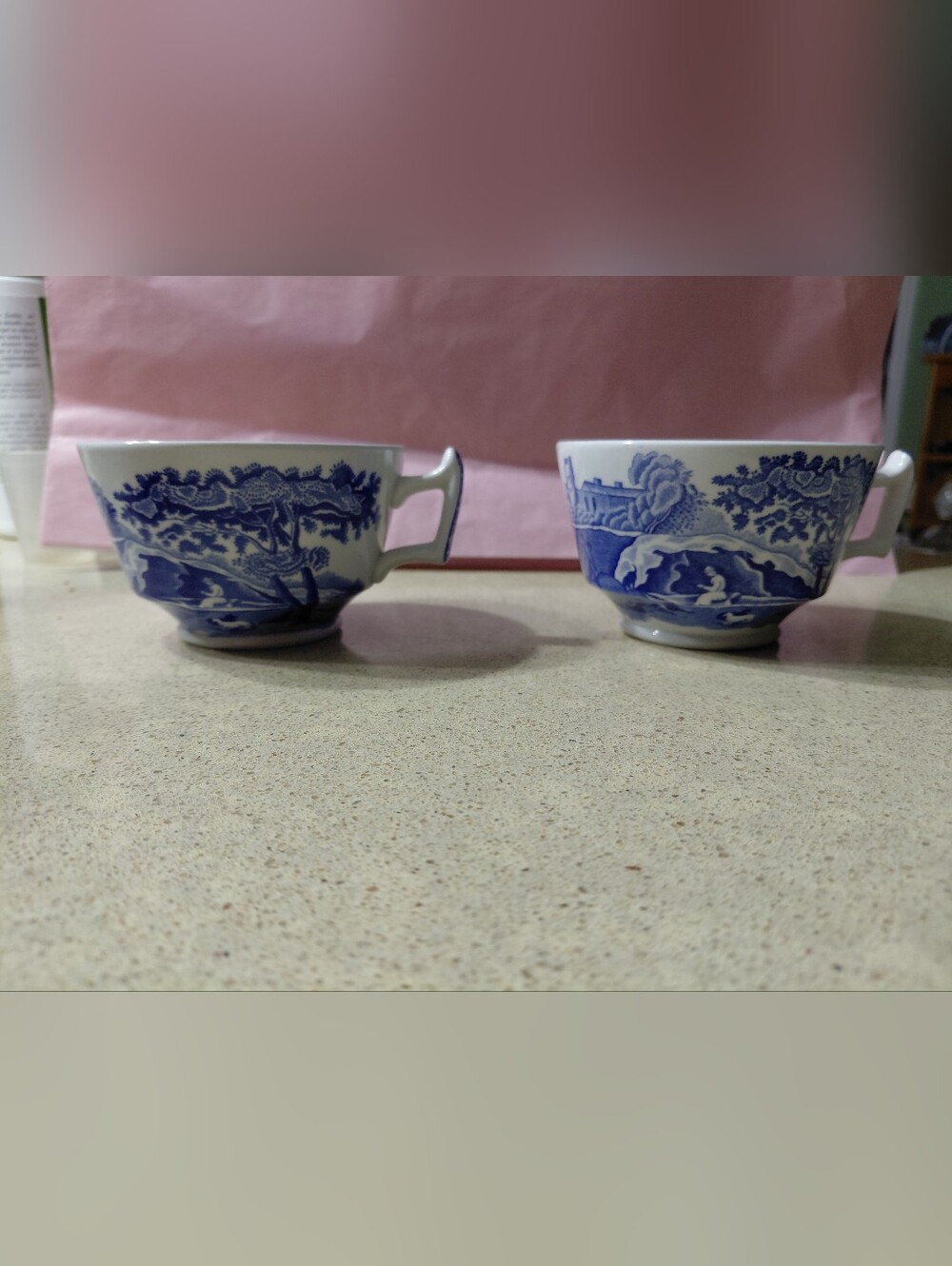 Spode Blue and White Scenic Porcelain Teacups - Set of 2 teacups
